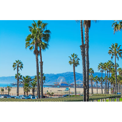Palm Trees - Wrapped Canvas Print