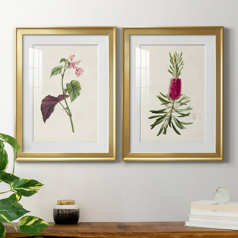 «Pretty Pink Botanicals VI», reproduction encadrée de qualité supérieure - prête à être accrochée, Cadre doré