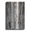"Aspens II" par Debra Van Swearingen-577480581