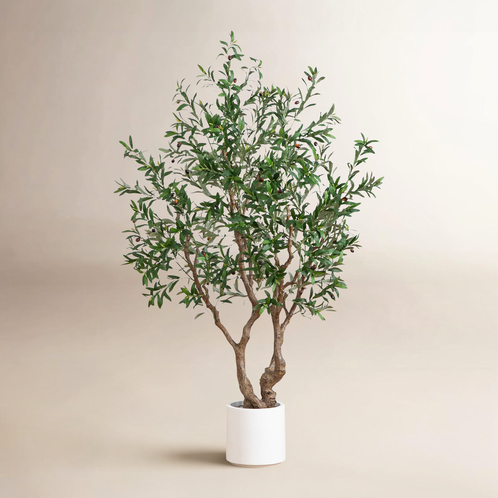 Decota 96" Olive Tree in Planter, 72" H x 38" W x 10" D