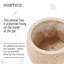  ECO Round Indoor Plant Pot for House Plants with Waterproof Liner | Natural Wooden House Planter-92659244