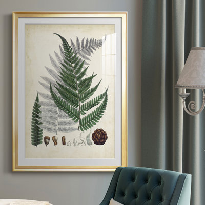 " Collected Ferns II "