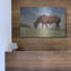 «Assataegue Horse» par Lori Deiter-745664527
