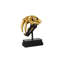 Tooth Tiger Skull-42650008
