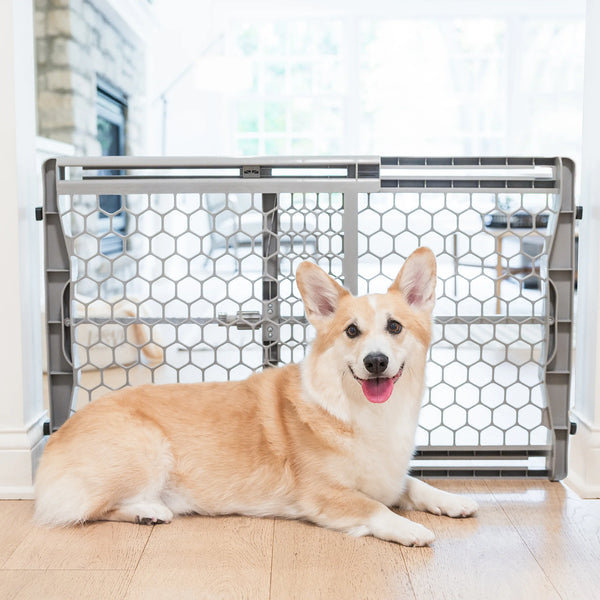 Gray Plastic Expandable Pressure Mounted Pet Gate