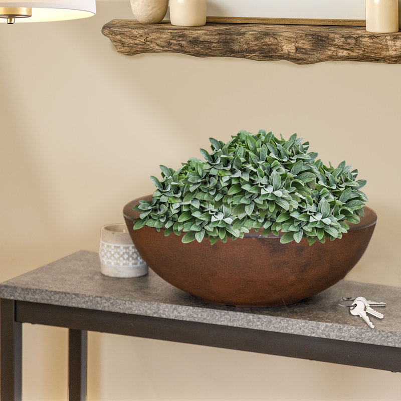 Pot de fleurs extérieur rond en polyrésine Ascend 20,75 po x 20,75 po x 11,5 po Ascend, H 7 po x l 20,75 po x P 20,75 po, 1