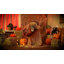 Halloween Decorations