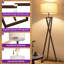 153cm Powder Coated Tripod Floor Lamp-869706013