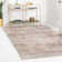Cantey Oriental Indoor Rug