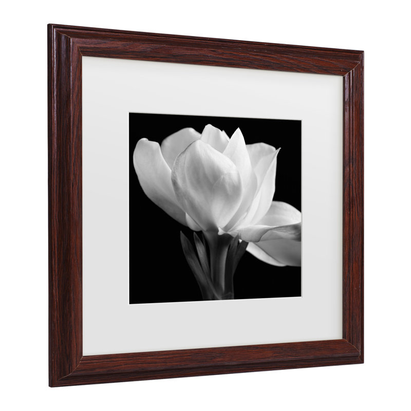 «Gardenia» par Michael Harrison, Brun, H 13,75 po x l 13,75 po x P 0,75 po
