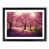 Black Framed selected