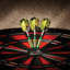 Fléchette Spinning Bee-3723444
