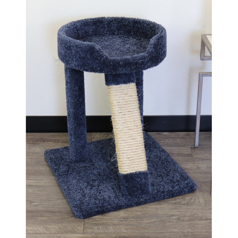 Arbre à chat 24 po avec tapis en sisal et moelleux New Cat Condos, bleu