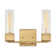 Xander 2-Light Dimmable Vanity Light