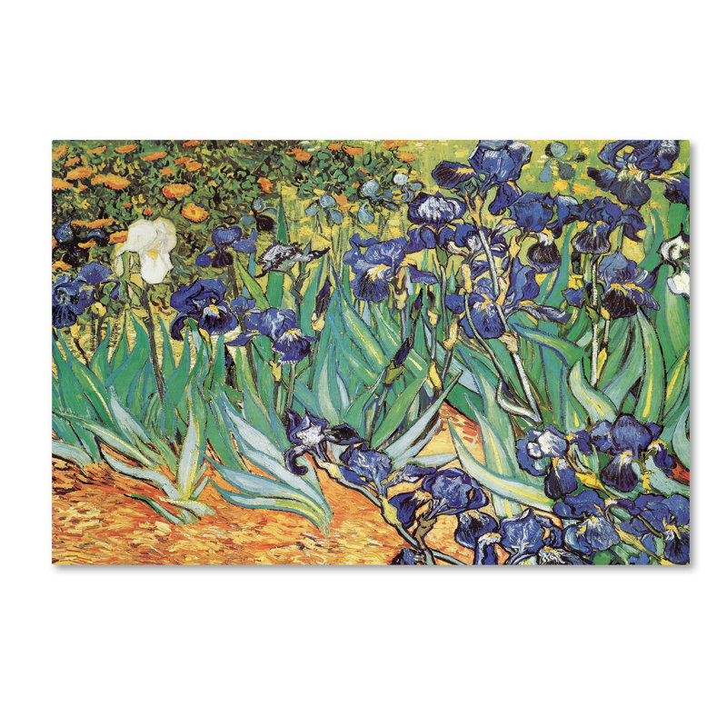 « iris jardin » par vincent van gogh, reproduction sur toile tendue, H 22 po x l 32 po