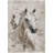 Machine Washable Indoor/Outdoor Cinead ACN1719 Ivory Rug-104845839