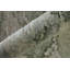 Tapis ivoire Teyvon-1915047236