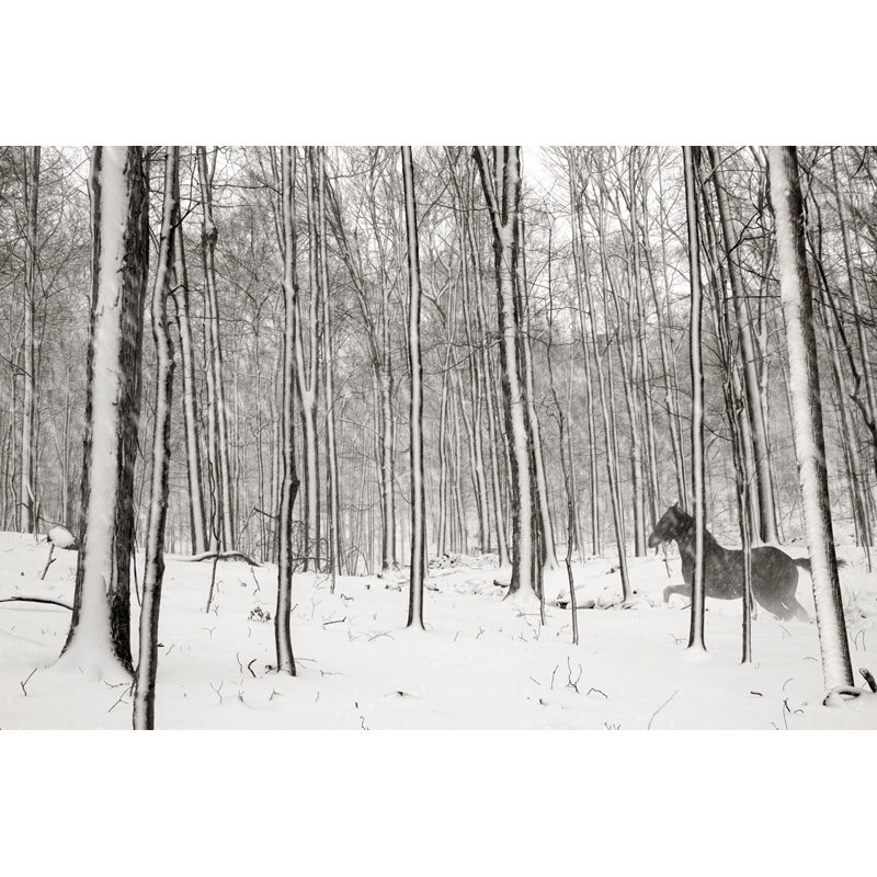 A Snowy Walk II by James McLoughlin - Wrapped Canvas Print, 30cm H x 46cm W