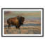 Bison Bull Print-337266612-337266615