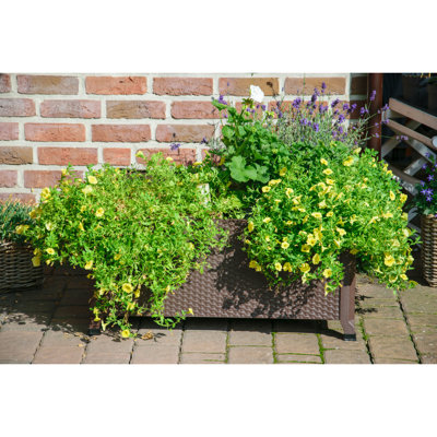 Metal Elevated Planter