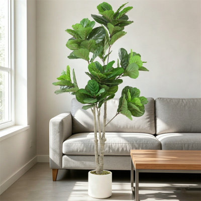 180 cm H Faux Fiddle Leaf Fig Tree Plant in Cement Freestanding Planter