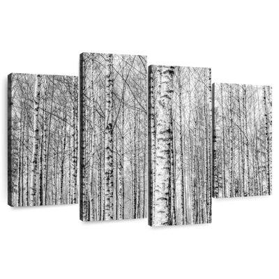 Forêt de bouleaux nus Harnek