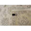Oriental Area Rug in Ivory