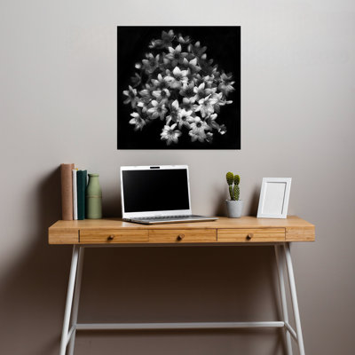 «Graceful Floral Cluster», art dramatique délicat, plante naturelle