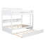 Lit superposé en bois avec lit gigogne et tablettes de rangement intégrées Nelson-125006265-125006267