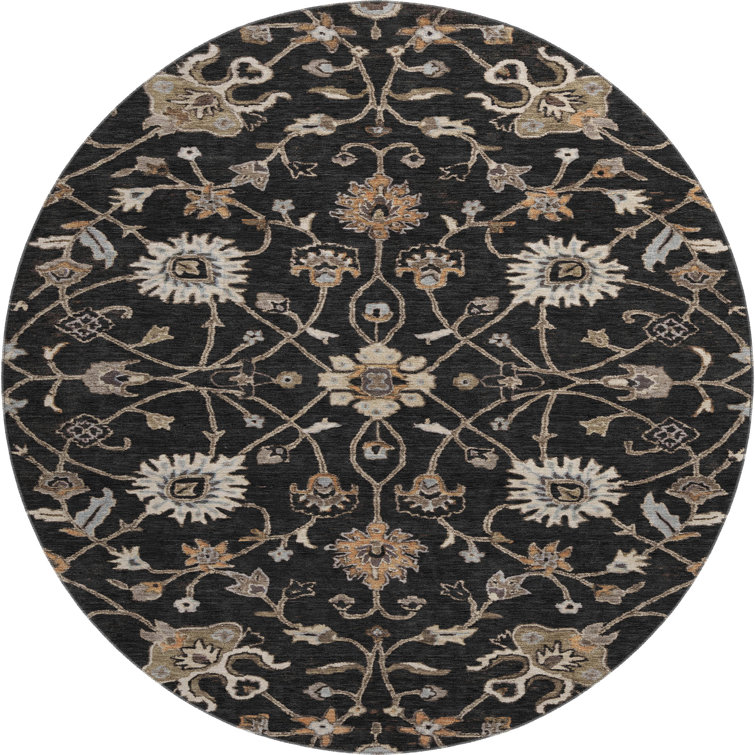 Premium Machine Washable Krause AMF1137 Global Rug