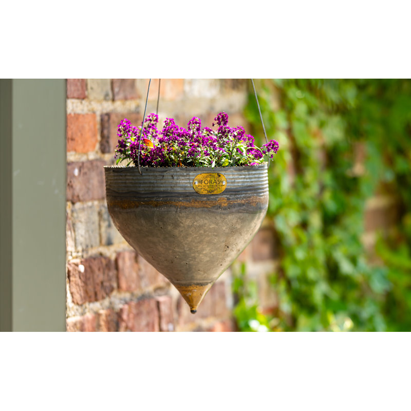 Mcgowen Metal Hanging Planter