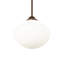 Luminaire suspendu 12 po