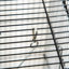 Cage à oiseau 45 po