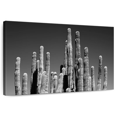 Harnek - Arizona noir - Cactus II