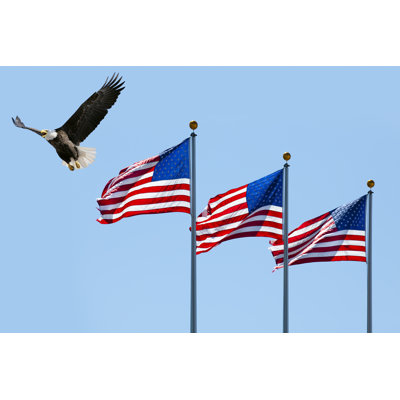 Bald Eagle Flying by Jamesbrey
