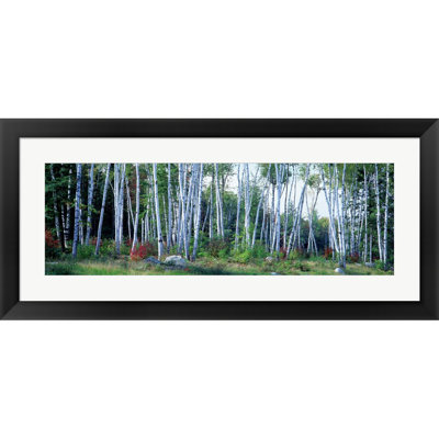 Handmade Landscape & Nature Wall Decor on Paper
