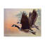 Bernache du Canada Armstrong - impression sur toile tendue-27645299