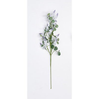 Lilas