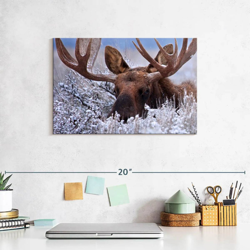 Brampt Hiding Moose, 8" H x 12" W