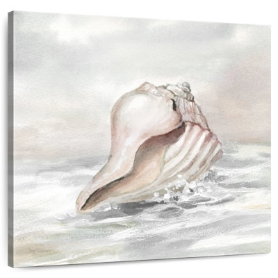 Aletra Shell Washed Ashore II