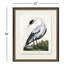 Medium White Crane - Picture Frame Painting on Paper