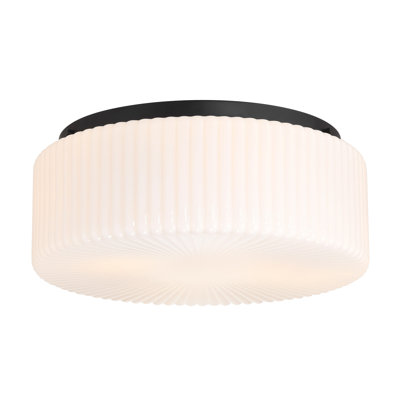 Edgemont 4-Light Ceiling Light in Matte Black