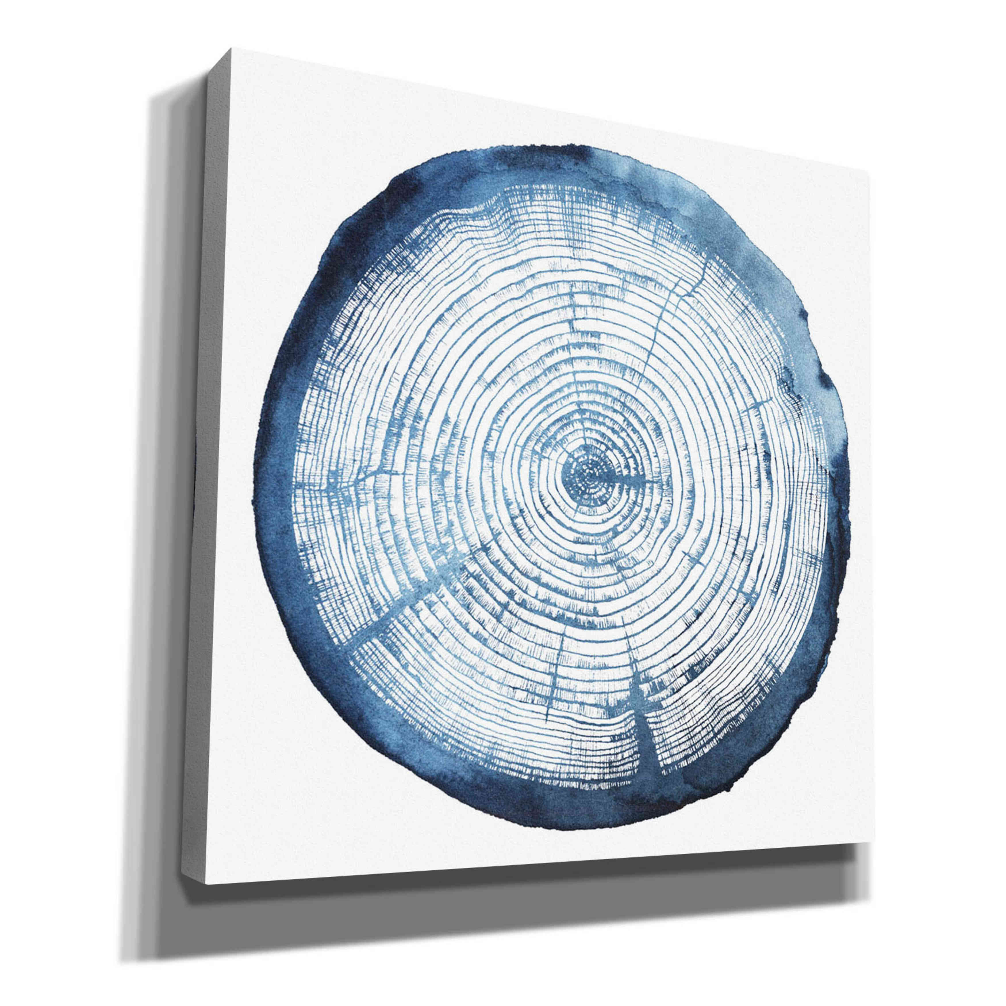 Loon Peak® 'Tree Ring Overlay I' By Grace Popp | Wayfair