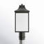 Lantern Head-1613013277
