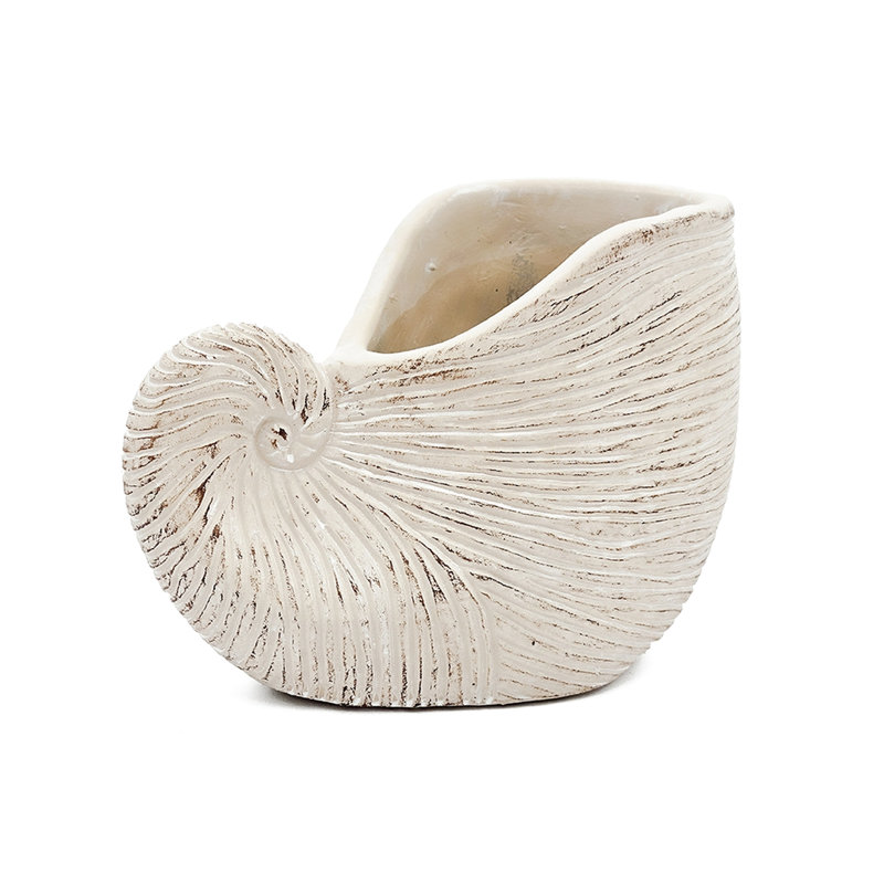 Textured Beige 8.5X5.5X6.3 Inches Sand And Cement Shell Planter, Suitable For Hyacinth Planting Planter With Surface, Great Displays