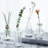 8-piece transparent vase set