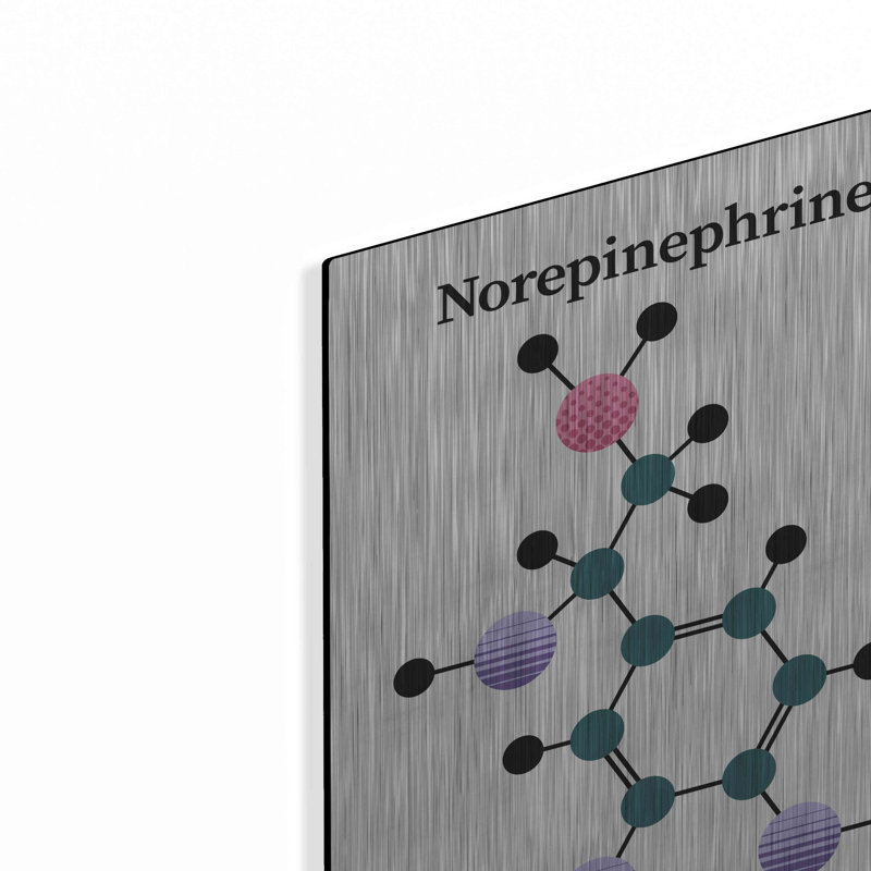 Trinx «Norepinephrine Molecule» par Luxe Portfolio, art mural en métal, H 16 po x l 12 po
