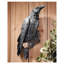 Décoration murale Raven's Perch