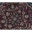 Wool Oriental Area Rug in Navy/Rust-50103577