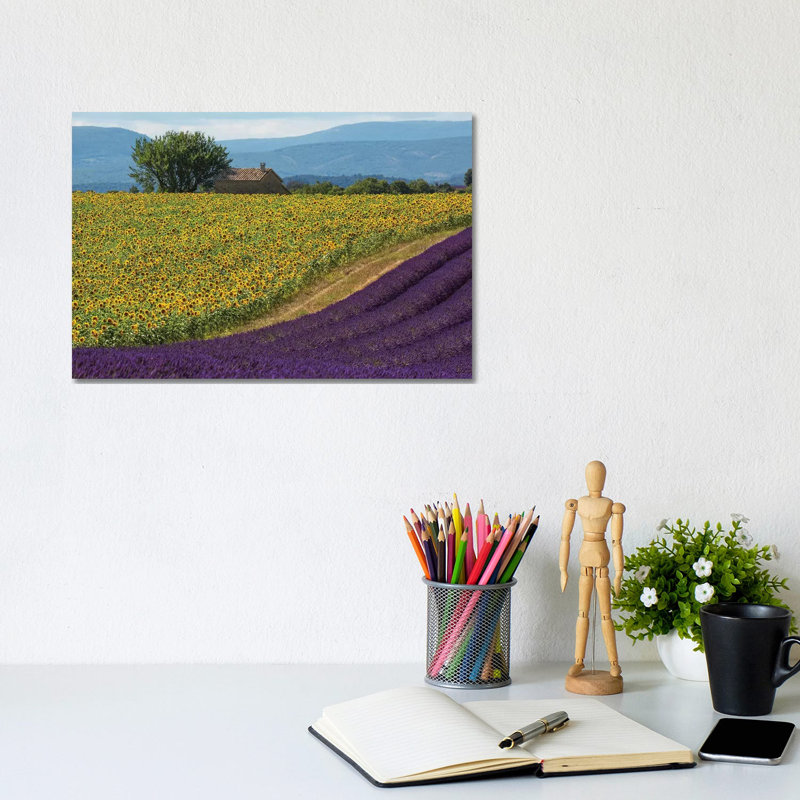 France, Provence. Lavender Field In The Valensole Plateau. by Jaynes Gallery - Wrapped Canvas Gallery-Wrapped Canvas Giclée
